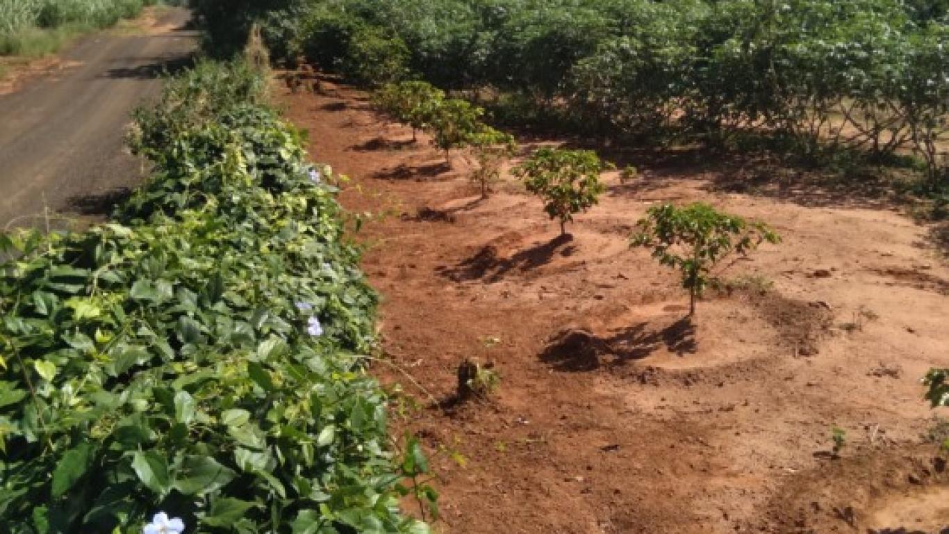 CHÁCARA NA Vila Ouro Verde em Assis