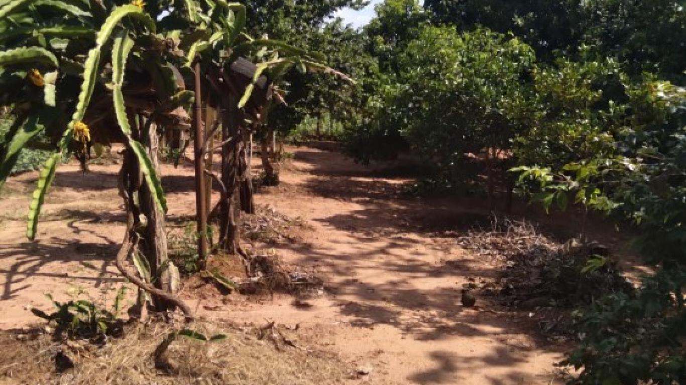 CHÁCARA NA Vila Ouro Verde em Assis