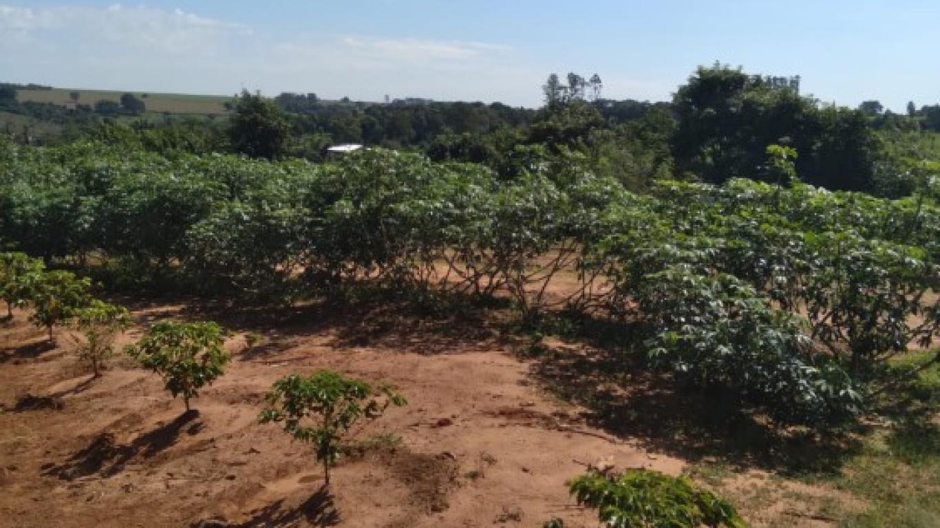 CHÁCARA NA Vila Ouro Verde em Assis