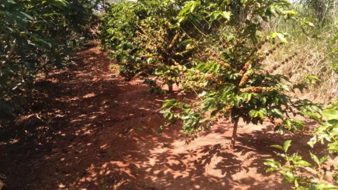 CHÁCARA NA Vila Ouro Verde em Assis