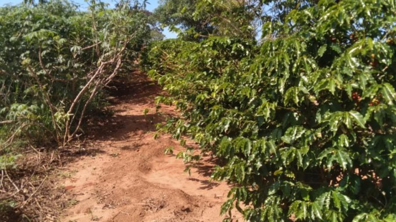 CHÁCARA NA Vila Ouro Verde em Assis