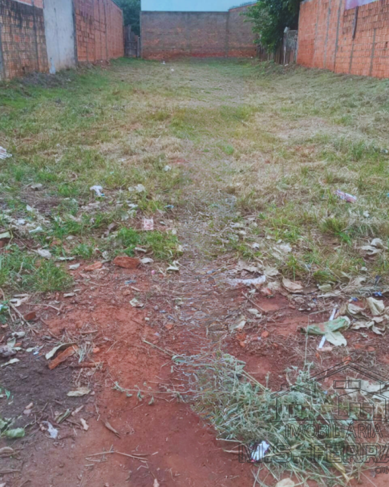 TERRENO NA Vila Clementina em Assis