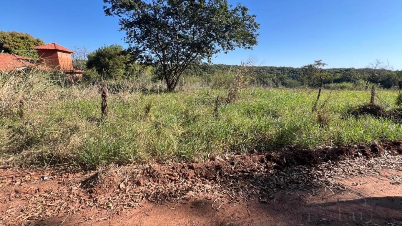 TERRENO NA RODOVIA PARAGUAÇU em Assis