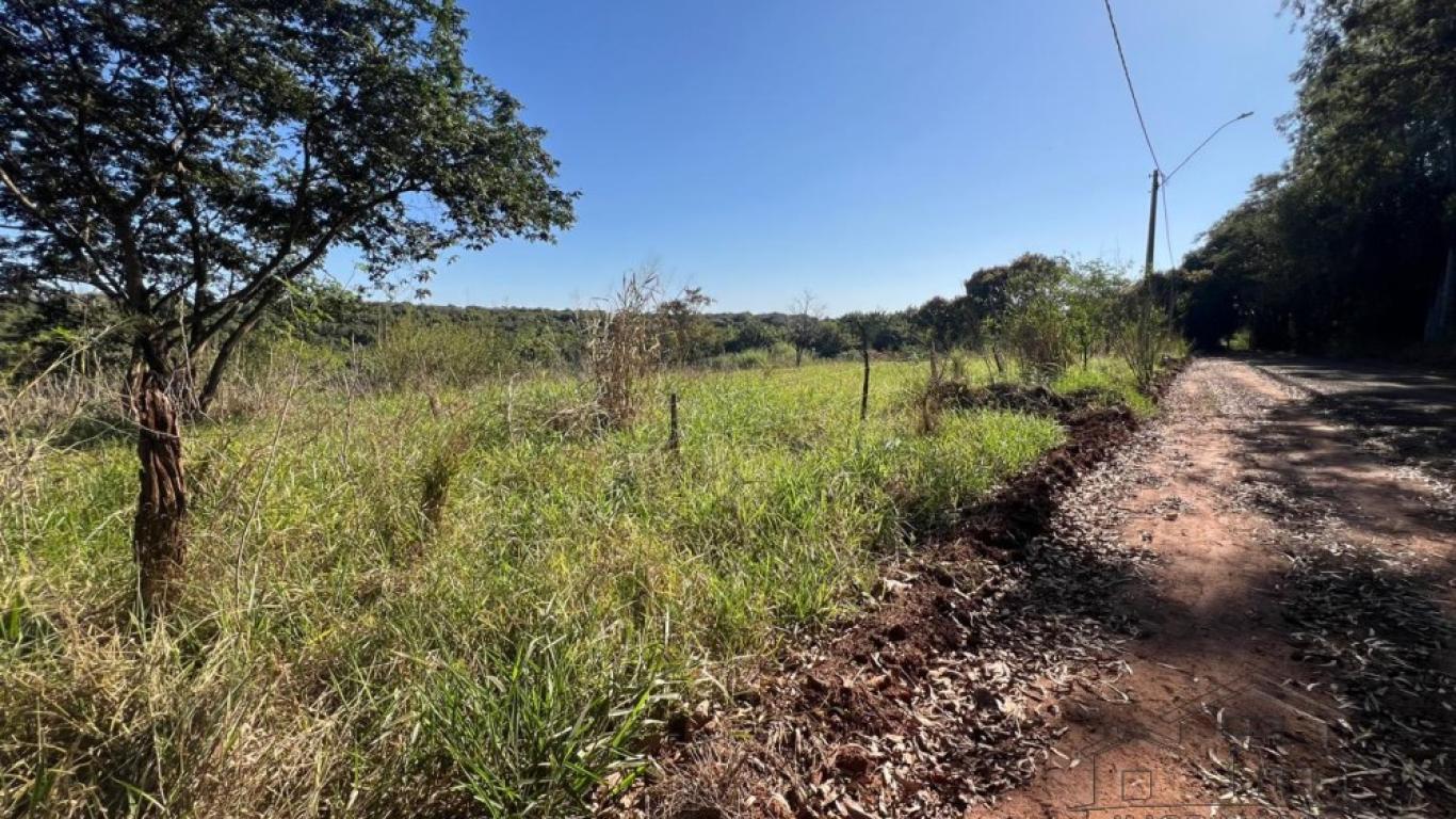 TERRENO NA RODOVIA PARAGUAÇU em Assis