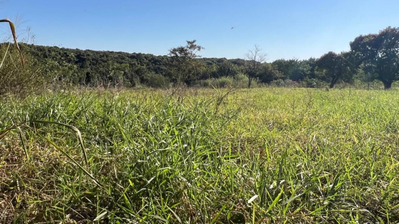 TERRENO NA RODOVIA PARAGUAÇU em Assis