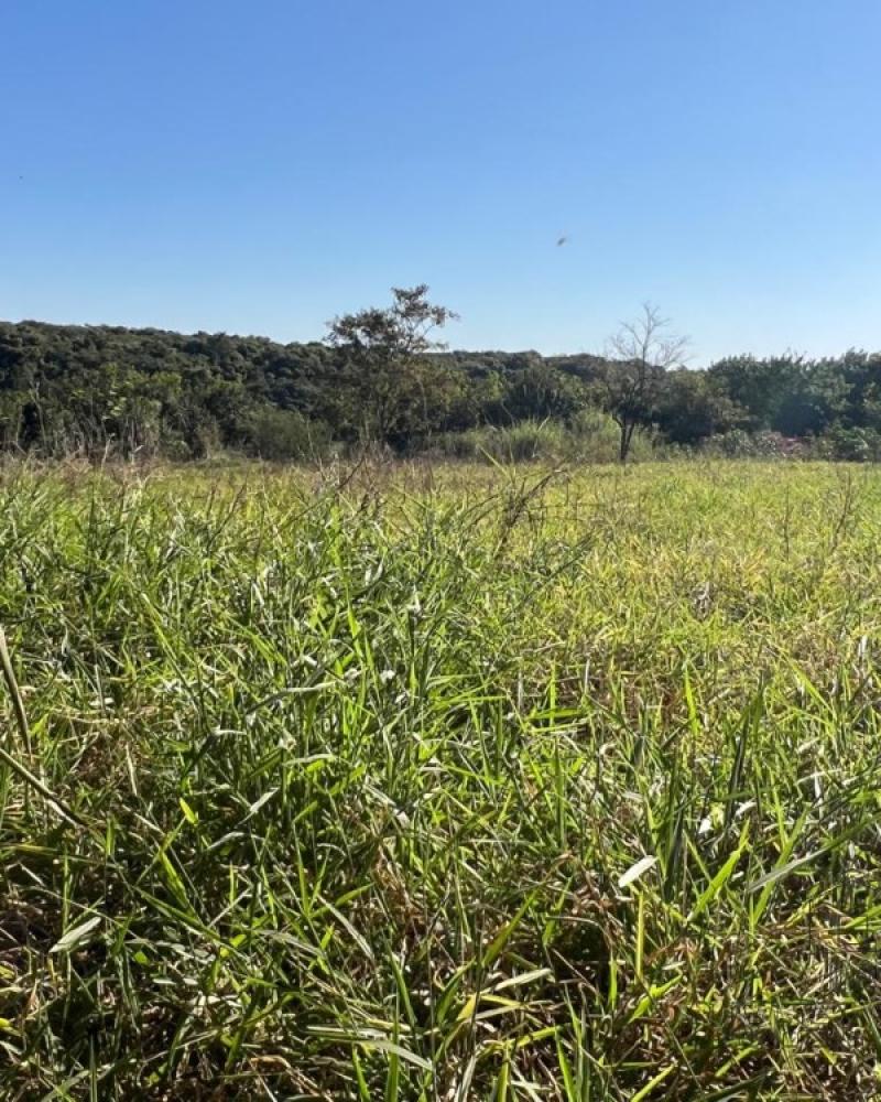 TERRENO NA RODOVIA PARAGUAÇU em Assis