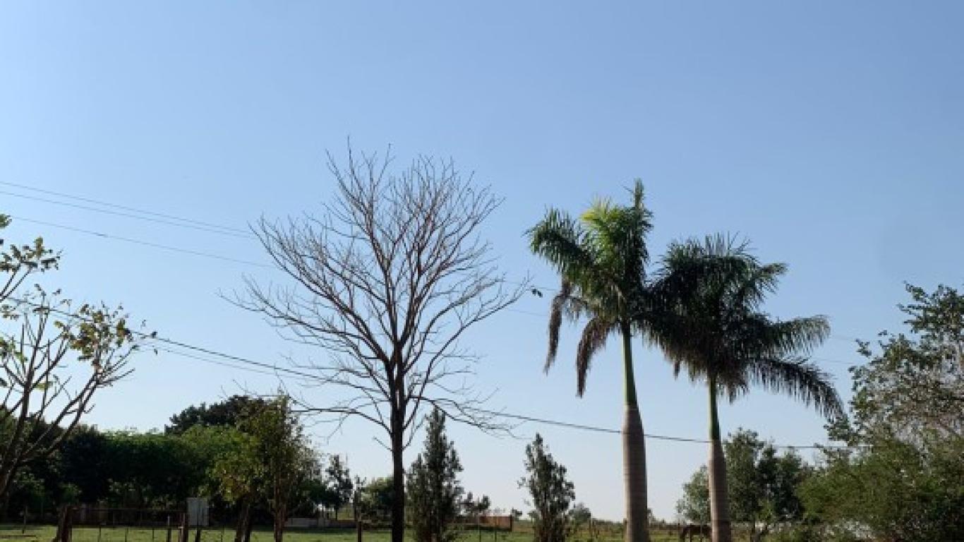 CHÁCARA NA Vila Glória em Assis