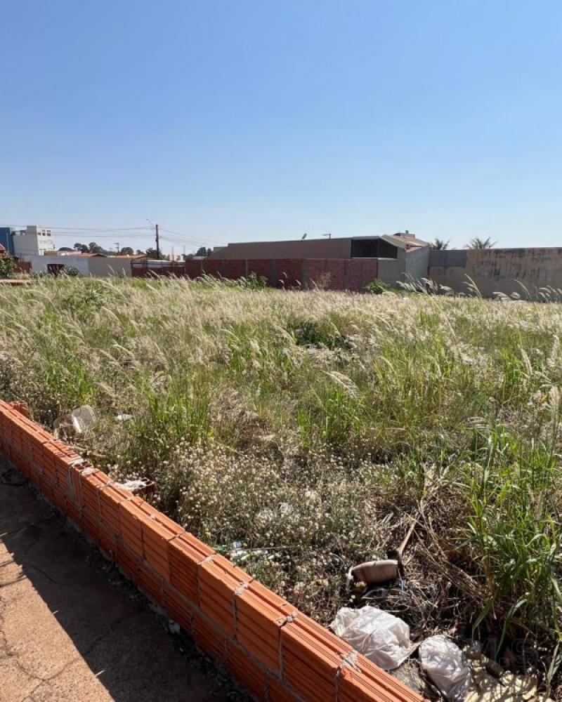 TERRENO NO Jardim Paraná em Assis