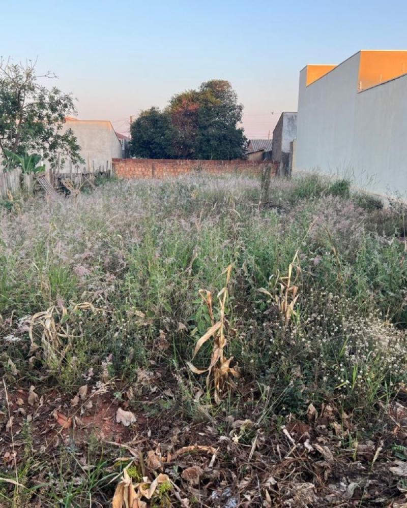 TERRENO NA Vila Claudia em Assis