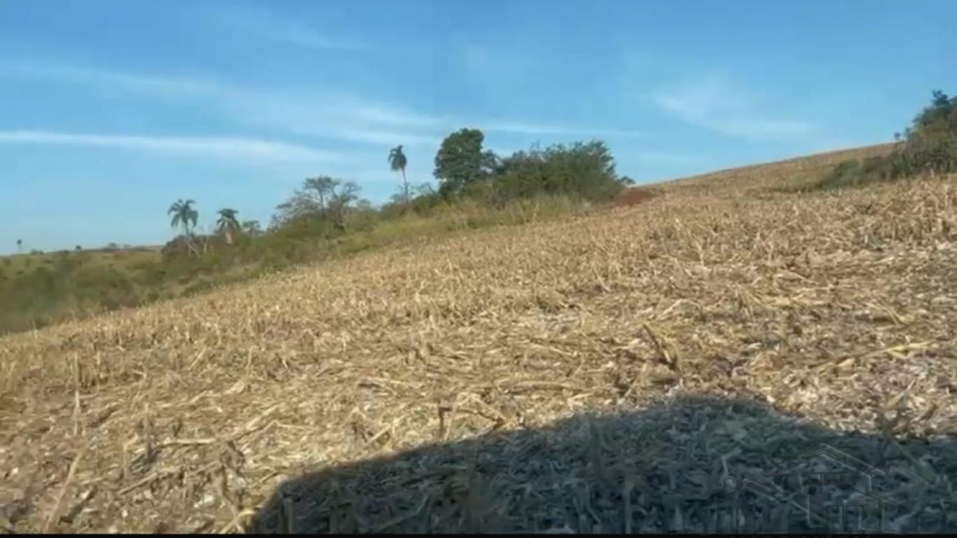 FAZENDA NA LEOPOLIS em Leópolis