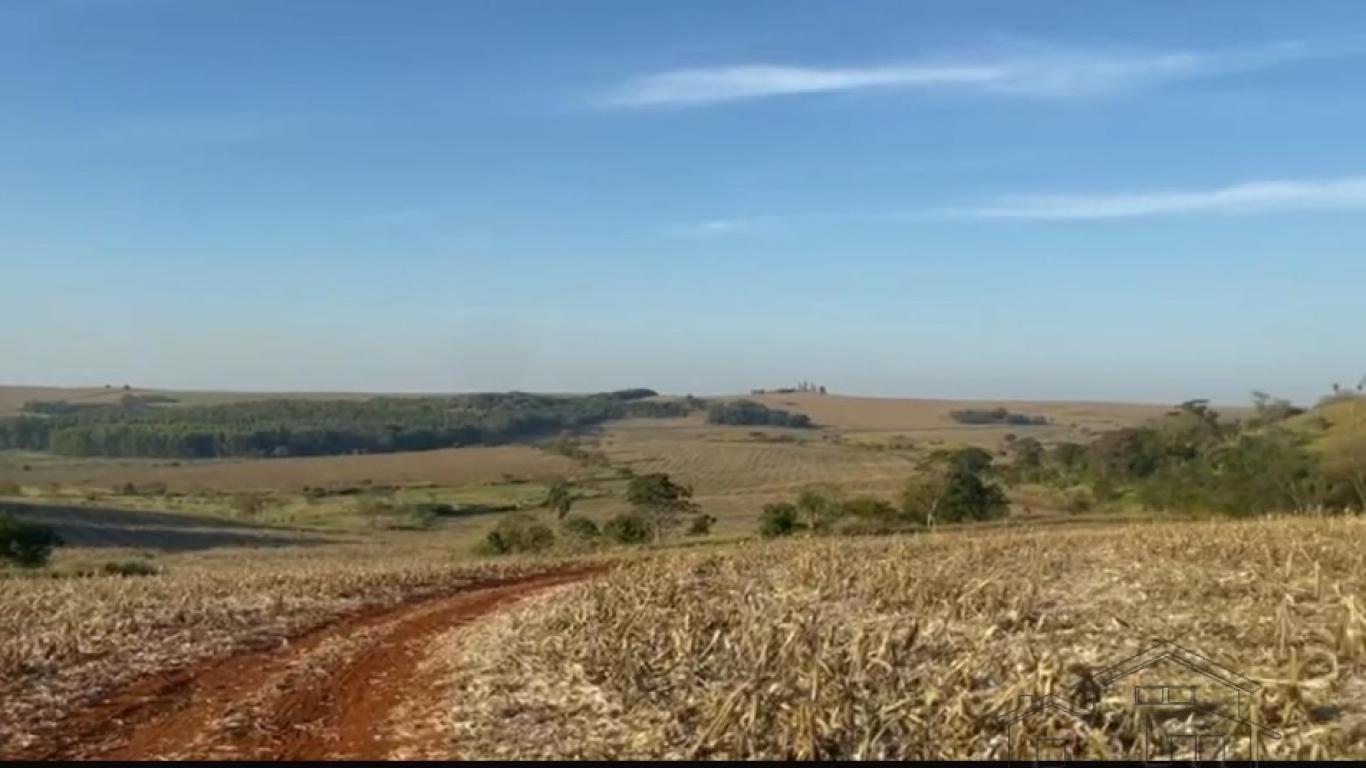 FAZENDA NA LEOPOLIS em Leópolis