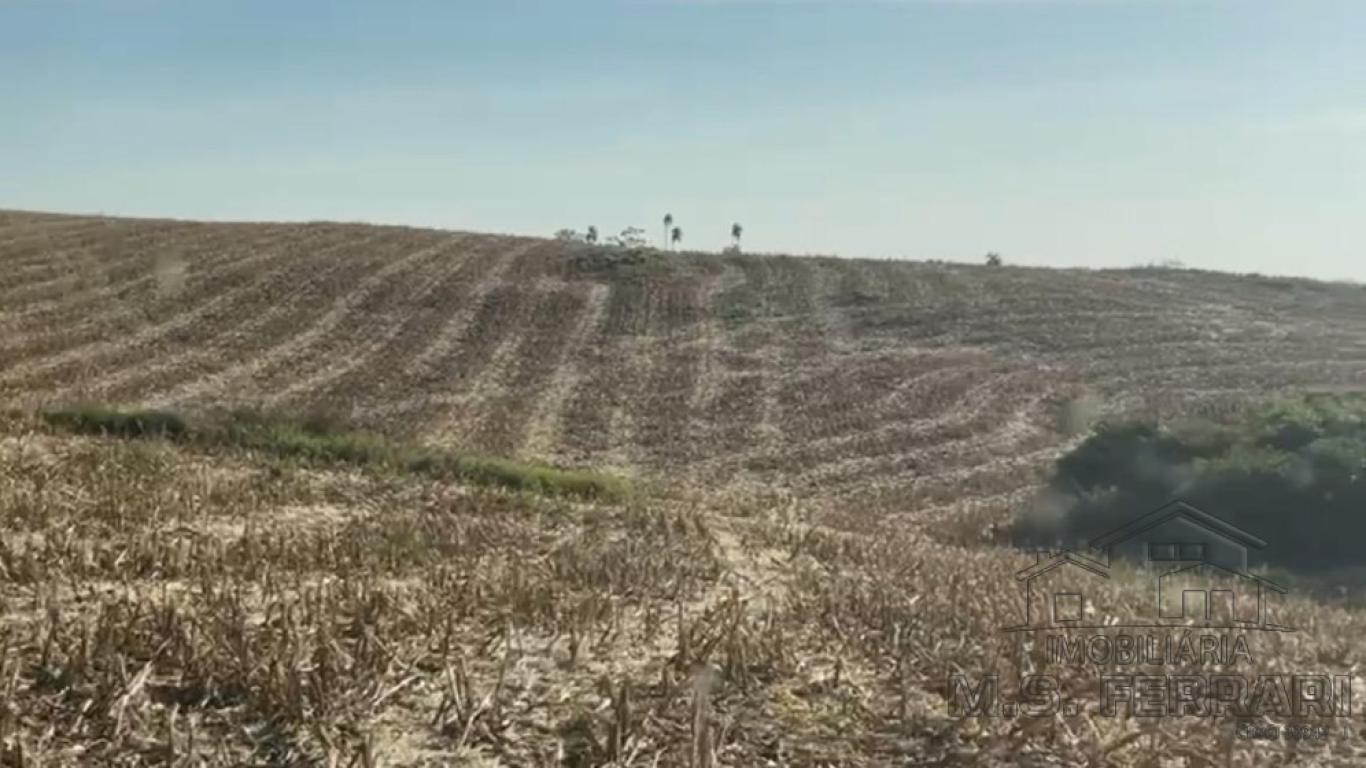 FAZENDA NA LEOPOLIS em Leópolis