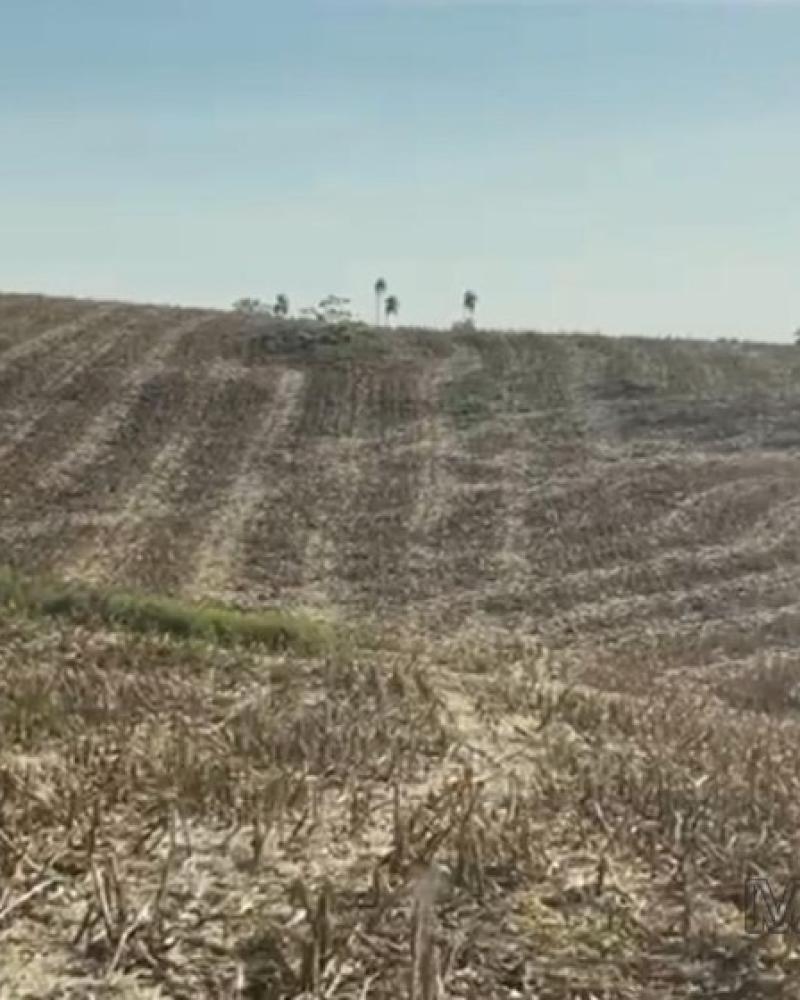 FAZENDA NA LEOPOLIS em Leópolis