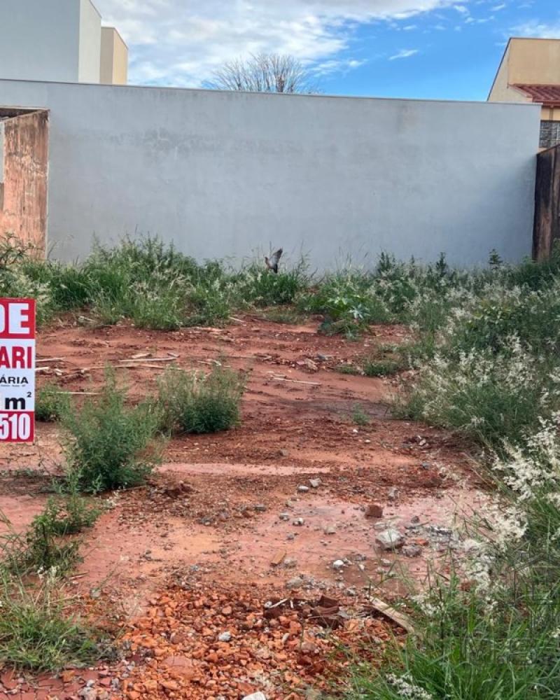 TERRENO NA Vila Ribeiro em Assis