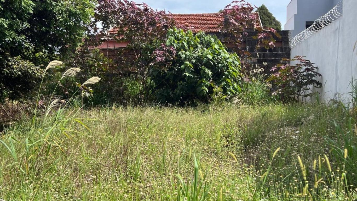 TERRENO NA Centro em Assis