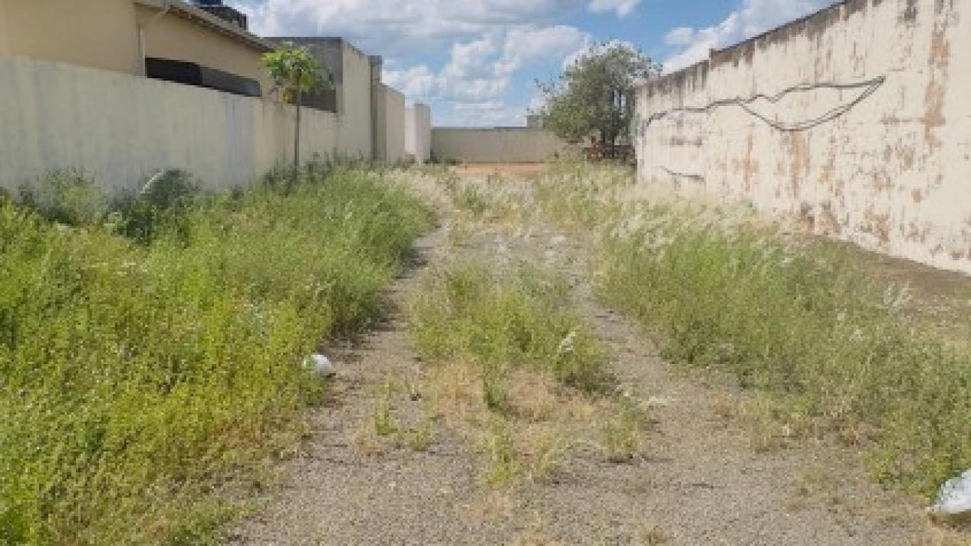 DEPÓSITO/GALPÃO NA Vila Glória em Assis